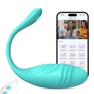sex toys remote control