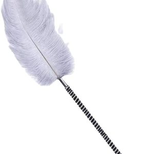 sexy feather stick tickling